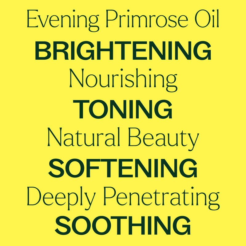 Plant Therapy Evening Primrose Carrier Oil Body Care