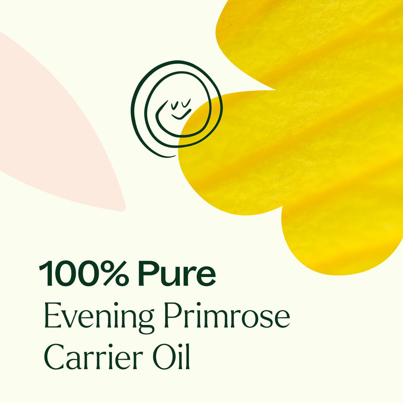 Plant Therapy Evening Primrose Carrier Oil Body Care