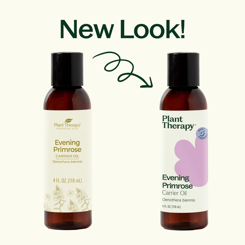 Plant Therapy Evening Primrose Carrier Oil Body Care