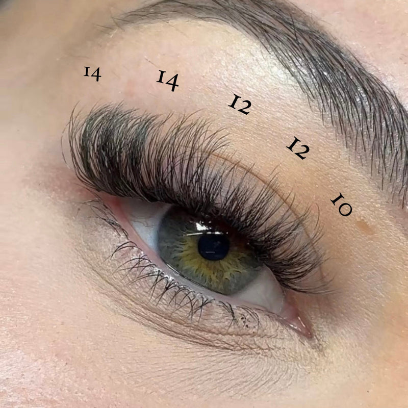 Pink Purée Angel Baby DIY Lashes