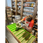 MION Artisan Soap Co. Scotch Pine | Mango Butter Soap