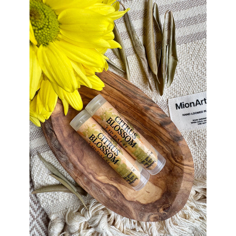 MION Artisan Soap Co. Lip Balm | Made with Cocoa & Mango Butter