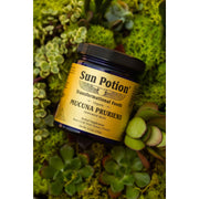 Sun Potion Mucuna Pruriens Powder (Organic) Adaptogen