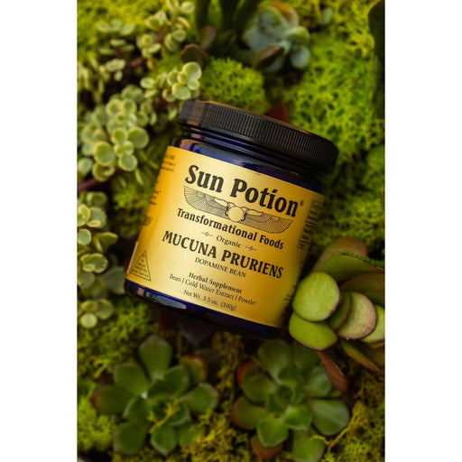 Sun Potion Mucuna Pruriens Powder (Organic) Adaptogen