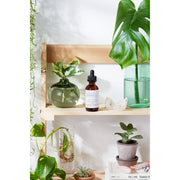 Butter Me Up Organics Organic Face & Eye Serum / Organic Facial Oil / Anti-Aging Serum / Organic Facial Serum / Natural Face Oil Butter Me Up Organics / Face