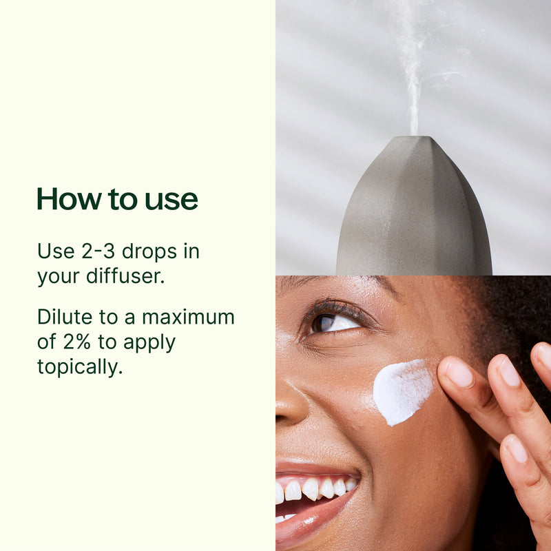 Plant Therapy Fantastic Franks™ Essential Oil Blend Essential Oil