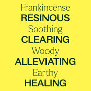 Plant Therapy Fantastic Franks™ Essential Oil Blend Essential Oil
