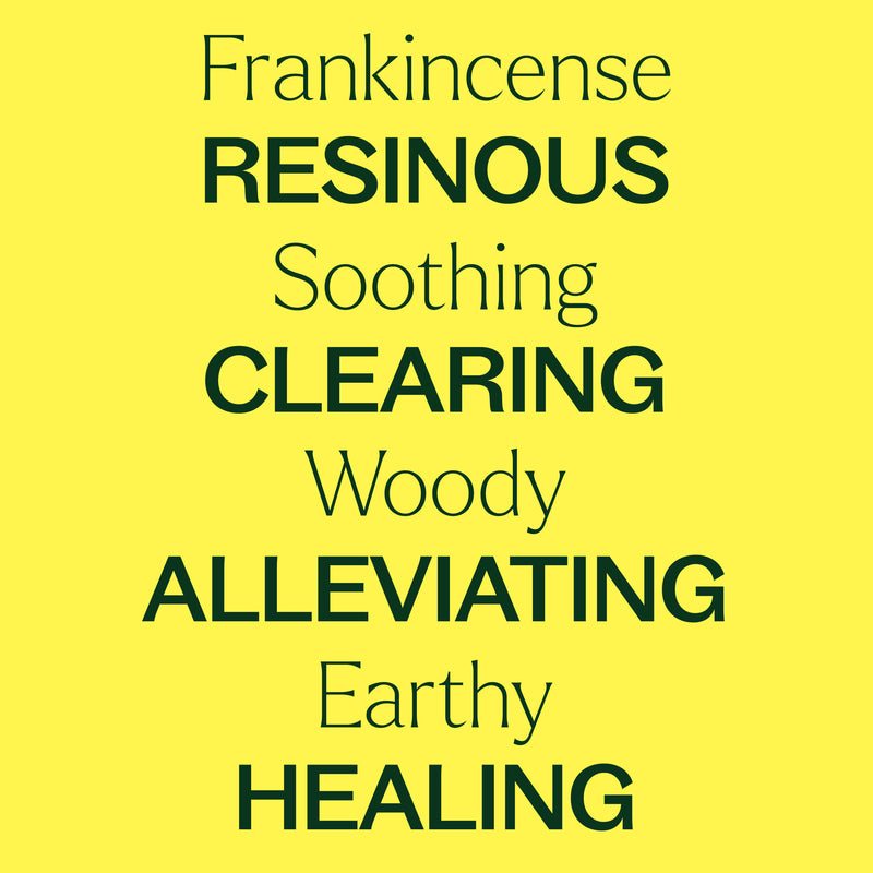 Plant Therapy Fantastic Franks™ Essential Oil Blend Essential Oil