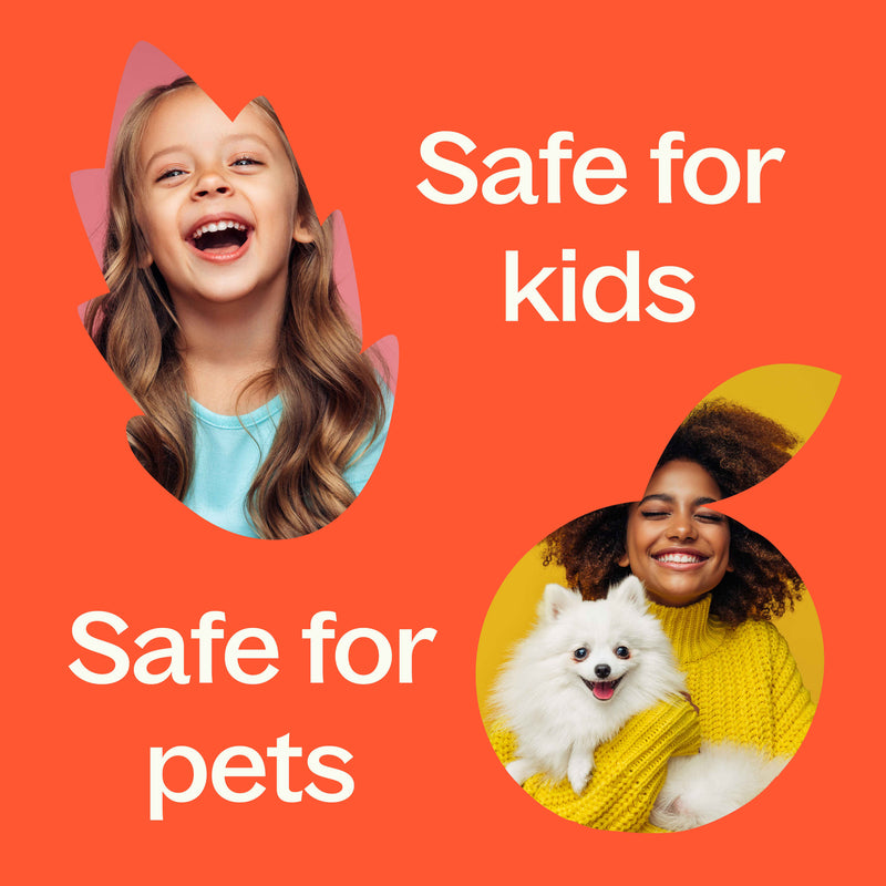 Plant Therapy Fantastic Franks™ Essential Oil Blend Essential Oil