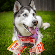Farm To Pet Snack Pack Dog Treat Sampler Snack Pack