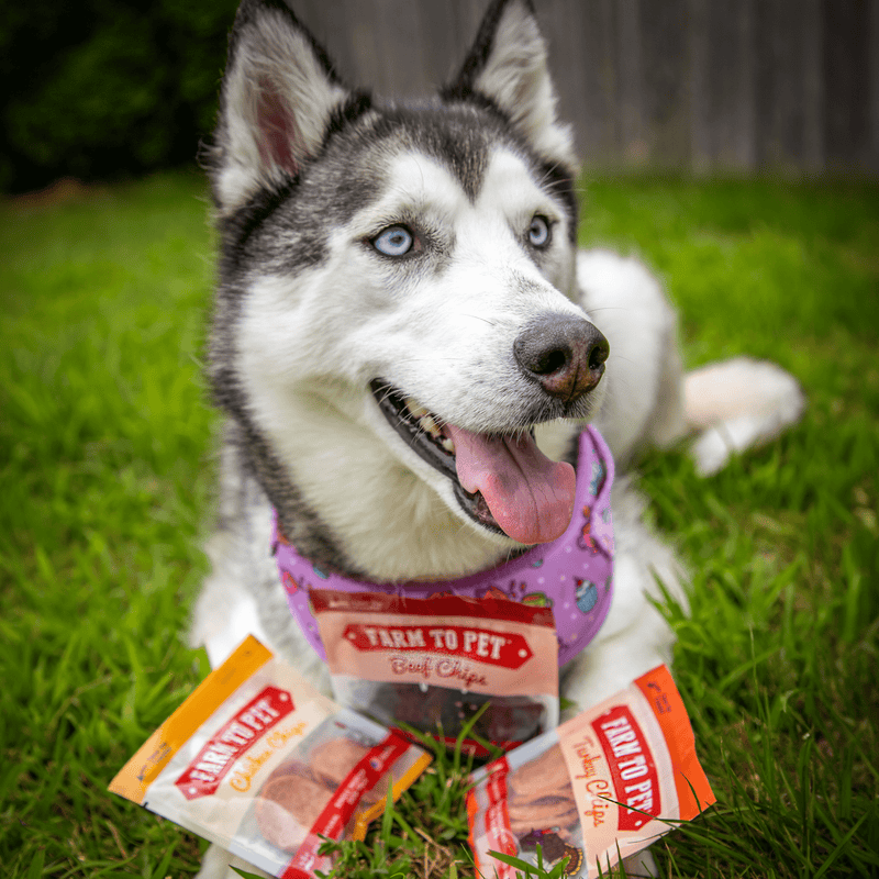 Farm To Pet Snack Pack Dog Treat Sampler Snack Pack