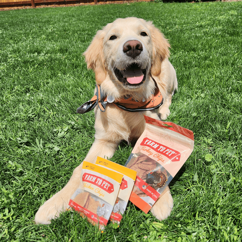 Farm To Pet Puppy Packs 'n Snacks Dog Treat Starter Pack | Single-Ingredient Training Treats Bundle