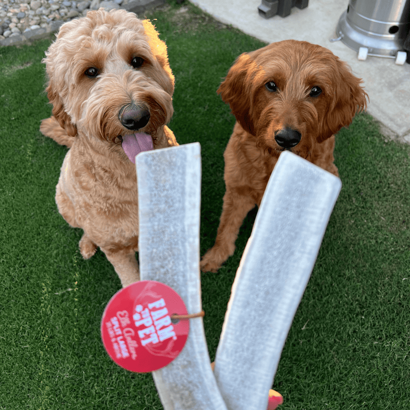 Farm To Pet Elk Antler Dog Chews | All-Natural Whole and Split Elk Antler Chews for Dogs Antler Dog Chew