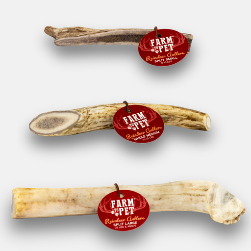 Farm To Pet Reindeer Antler Dog Chews | Organic Chews for Dogs Antler Dog Chew