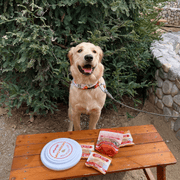 Farm To Pet Will Fetch for Chicken Chips Dog Frisbee | Fun Toy for Dogs and Humans Frisbee