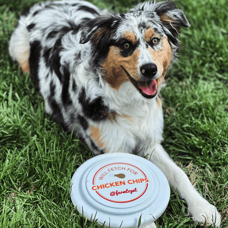 Farm To Pet Will Fetch for Chicken Chips Dog Frisbee | Fun Toy for Dogs and Humans Frisbee