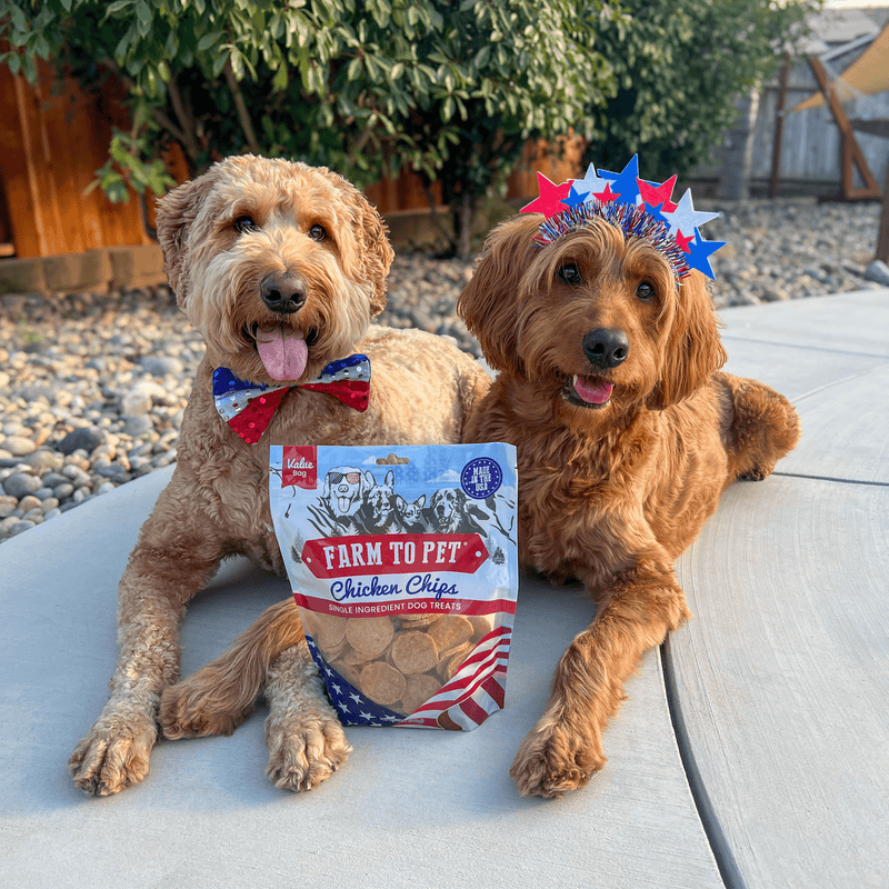 Farm To Pet Americana Chicken Chips for Dogs | Celebrate with USA-made Dog Treats Chip
