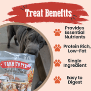 Farm To Pet Turkey Feast Chips Chip