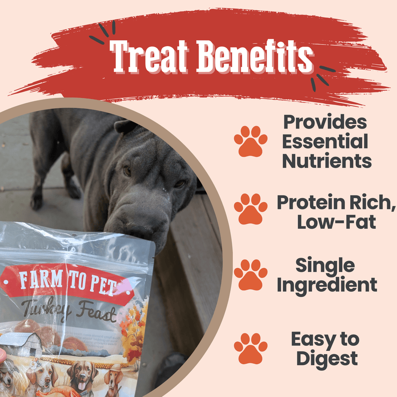 Farm To Pet Turkey Feast Chips Chip