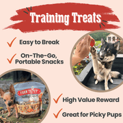 Farm To Pet Turkey Feast Chips Chip