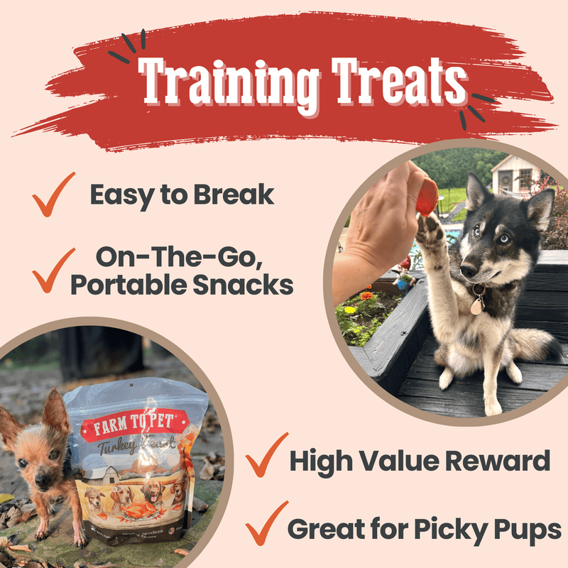 Farm To Pet Turkey Feast Chips Chip