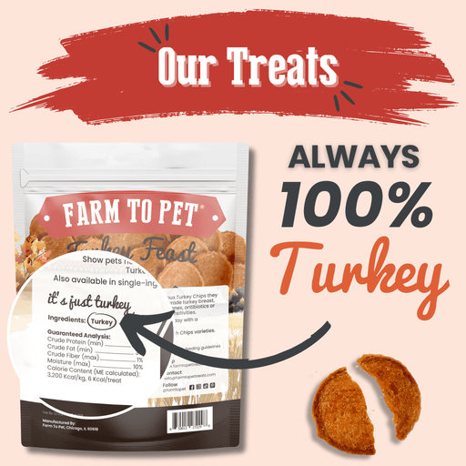 Farm To Pet Turkey Feast Chips Chip