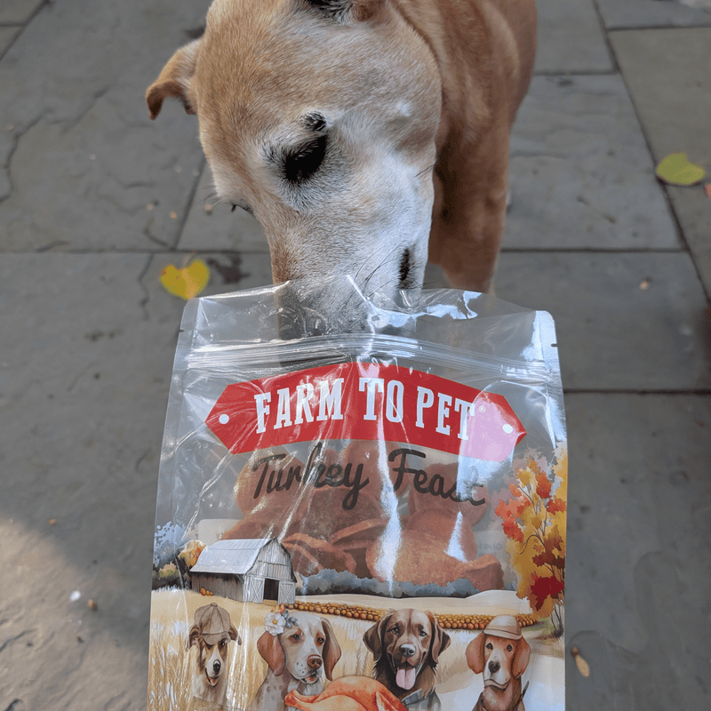 Farm To Pet Turkey Feast Chips Chip