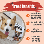 Farm To Pet Live Like Roo Turkey Chips for Dogs | Dog Treats That Give Back Chip