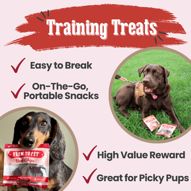 Farm To Pet Beef Chips Snack Pack Bundles | Dog Treats for Training & Travel Snack Pack
