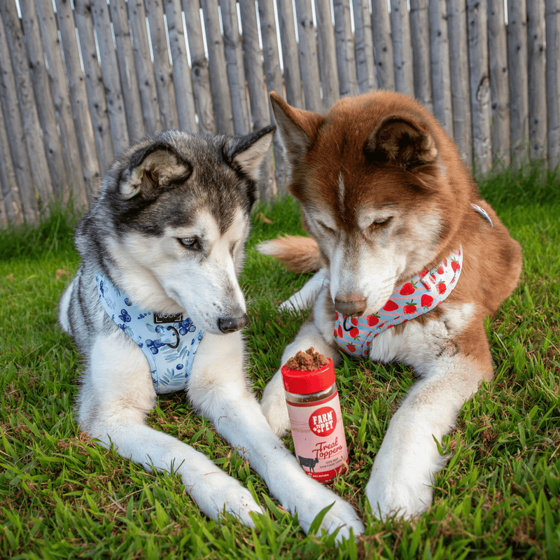 Farm To Pet Treat Topper Beef Dog Food Topper | Powdered Meal Topper for Pets Topper