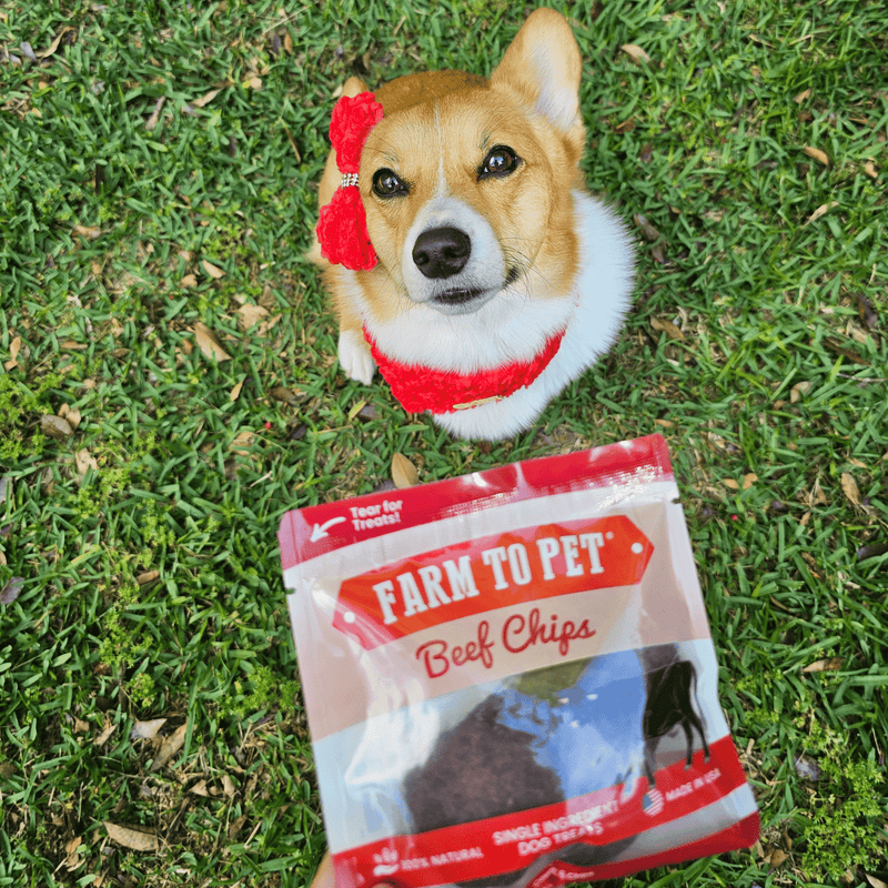 Farm To Pet Beef Chips Snack Pack Bundles | Dog Treats for Training & Travel Snack Pack