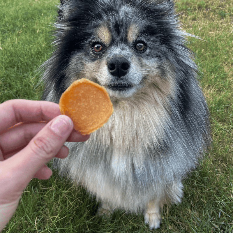 Farm To Pet Chicago Chicken Chips for Dogs | Dog Treats To Celebrate Our Hometown Chip
