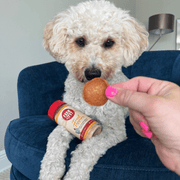 Farm To Pet Treat Topper Chicken Dog Food Topper | Healthy Meal Supplement for Dogs Topper