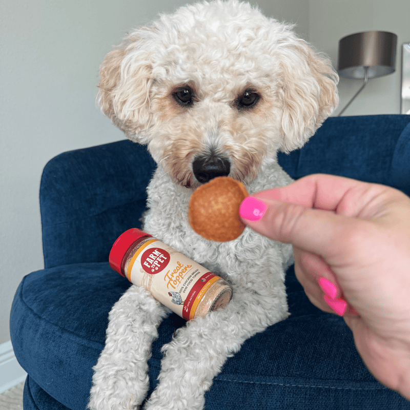Farm To Pet Treat Topper Chicken Dog Food Topper | Healthy Meal Supplement for Dogs Topper
