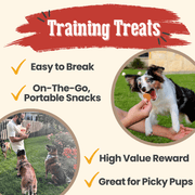 Farm To Pet Chicken Chips for Dogs | All-Natural Single-Ingredient Dog Treats Chip