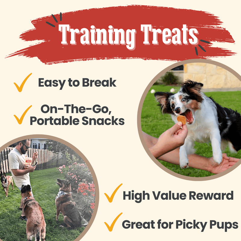 Farm To Pet Chicken Chips for Dogs | All-Natural Single-Ingredient Dog Treats Chip
