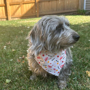 Farm To Pet Tie-on Dog Bandana | Adjustable String-tie Bandana for Dogs and Cats Bandana