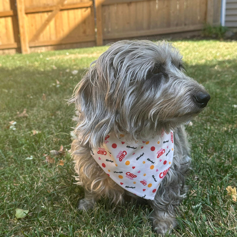Farm To Pet Tie-on Dog Bandana | Adjustable String-tie Bandana for Dogs and Cats Bandana