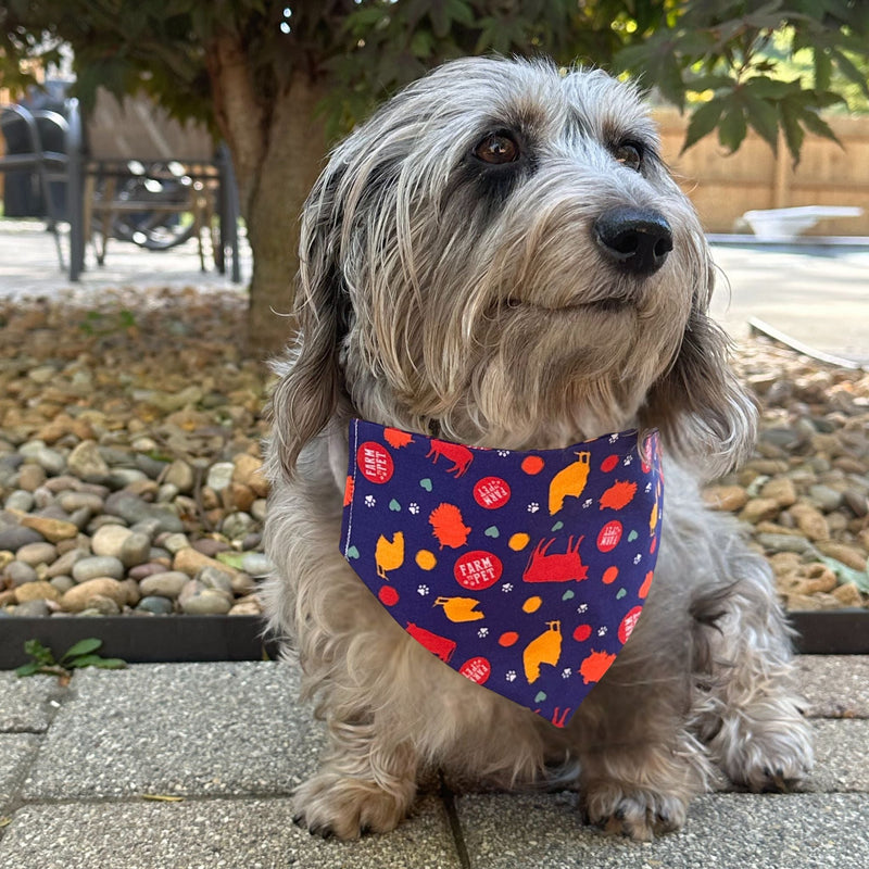 Farm To Pet Tie-on Dog Bandana | Adjustable String-tie Bandana for Dogs and Cats Bandana