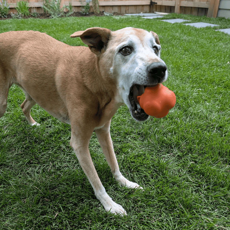 Farm To Pet Dog Fetch Balls Fetch Ball