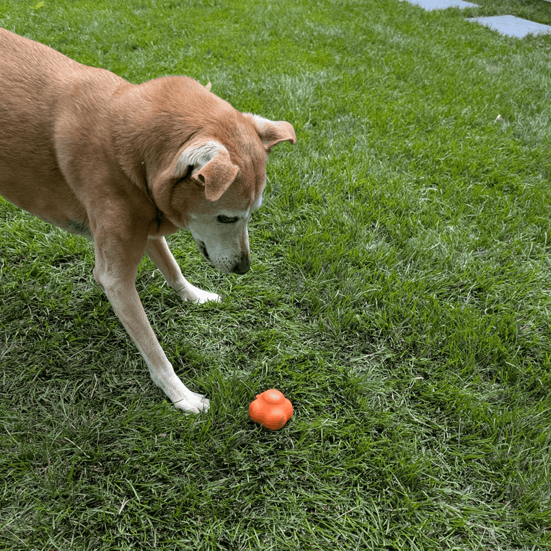 Farm To Pet Dog Fetch Balls Fetch Ball