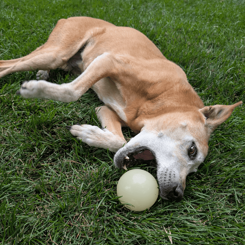 Farm To Pet Dog Fetch Balls Fetch Ball