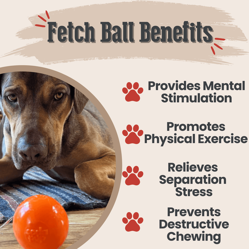 Farm To Pet Dog Fetch Balls Fetch Ball