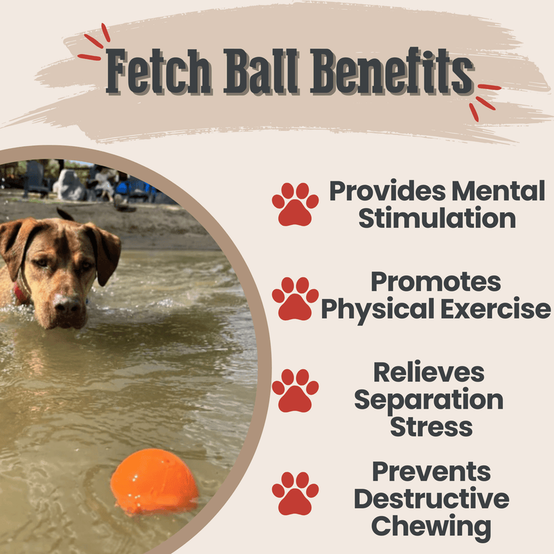 Farm To Pet Dog Fetch Balls Fetch Ball