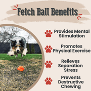 Farm To Pet Dog Fetch Balls Fetch Ball