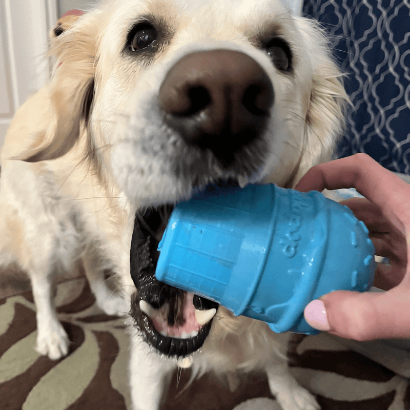 Farm To Pet Dog Treat Dispensers Treat Dispenser