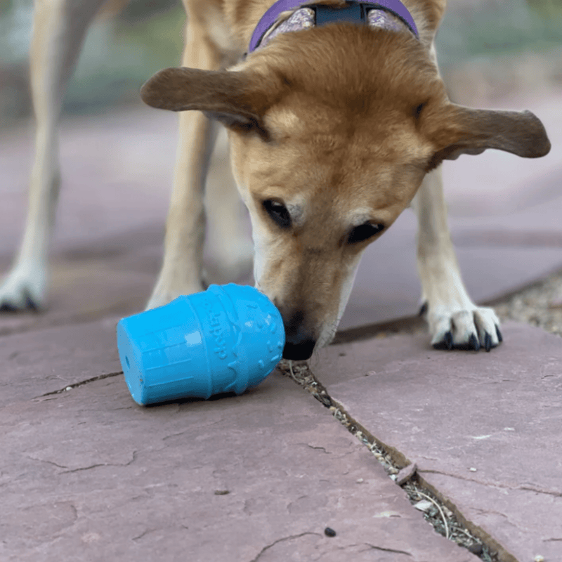 Farm To Pet Dog Treat Dispensers Treat Dispenser