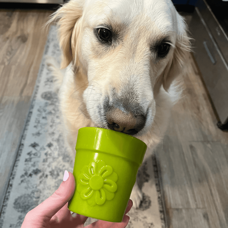 Farm To Pet Dog Treat Dispensers Treat Dispenser
