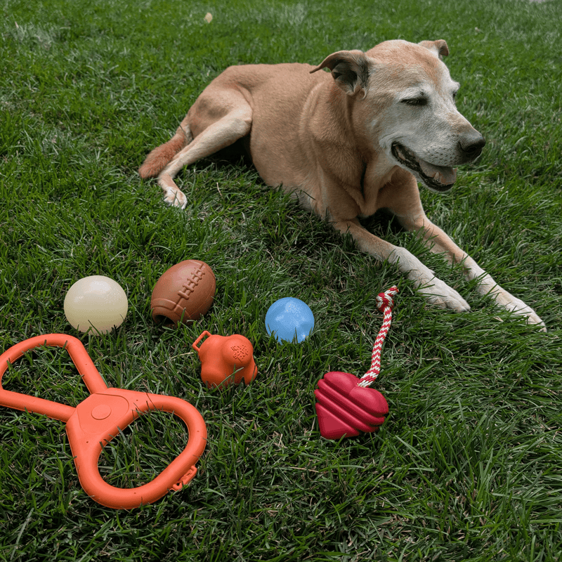 Farm To Pet Dog Fetch Balls Fetch Ball