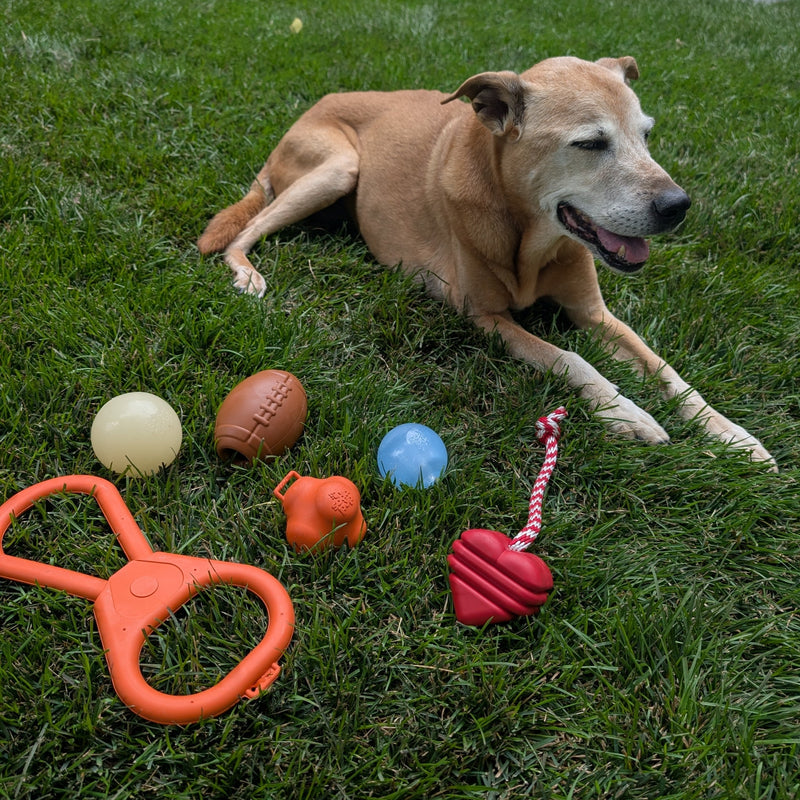 Farm To Pet Chew Toys Tug Toy